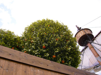 ちゃんと３本。ついでにマストもきちんと写るように撮ればよかった。