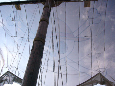 透けて空が見えるってのがいいのです。