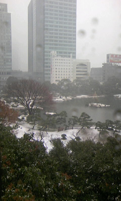 思わず撮った。笑。